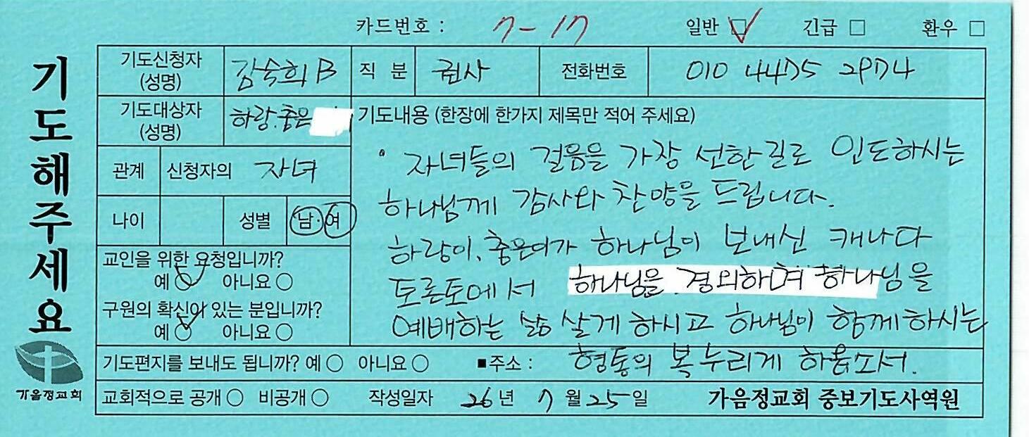 일반311