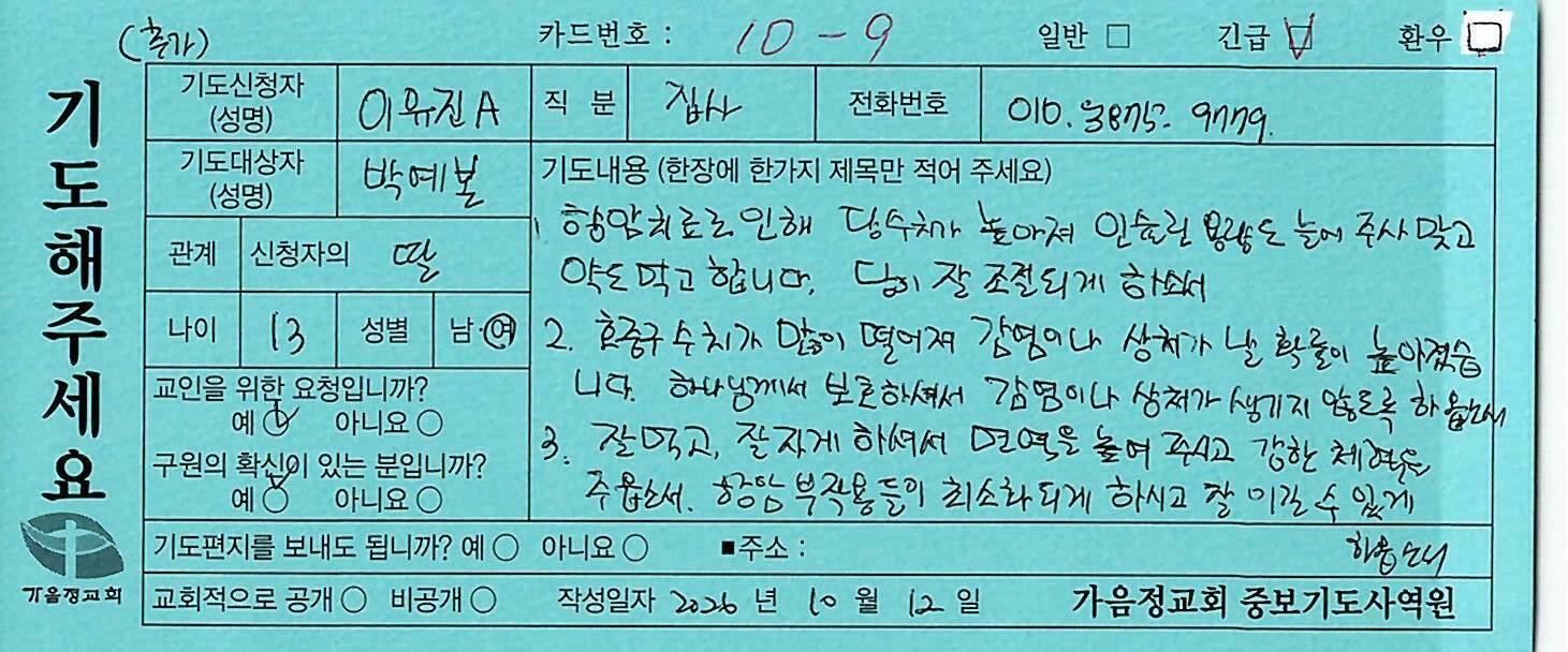 긴급115